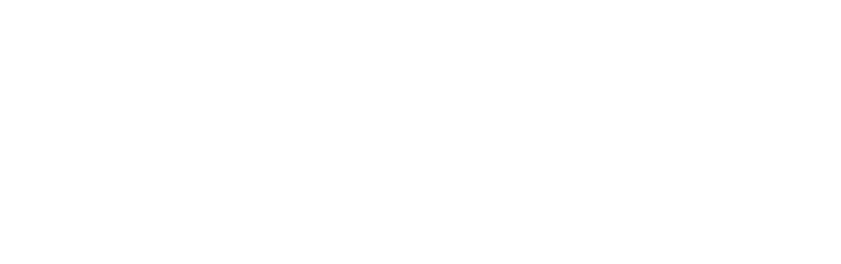 Transparent white logo